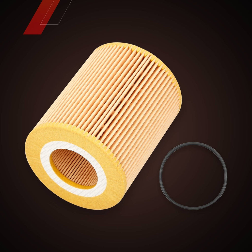 FD4627 Diesel Fuel Oil Filter Kit for Ford F150 3.0L Engines 2018 2021 FL2081