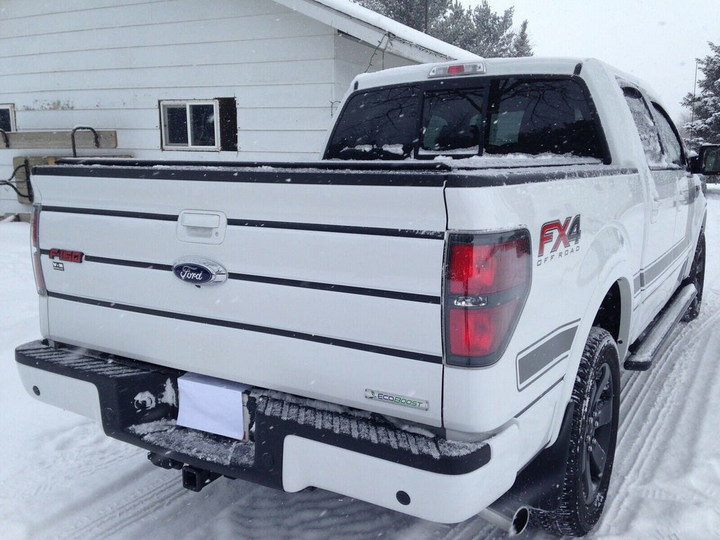 Tailgate Trim Stripe Kit for Ford F150 2009 2010 2011 2012 2013 2014 Many Color Choices