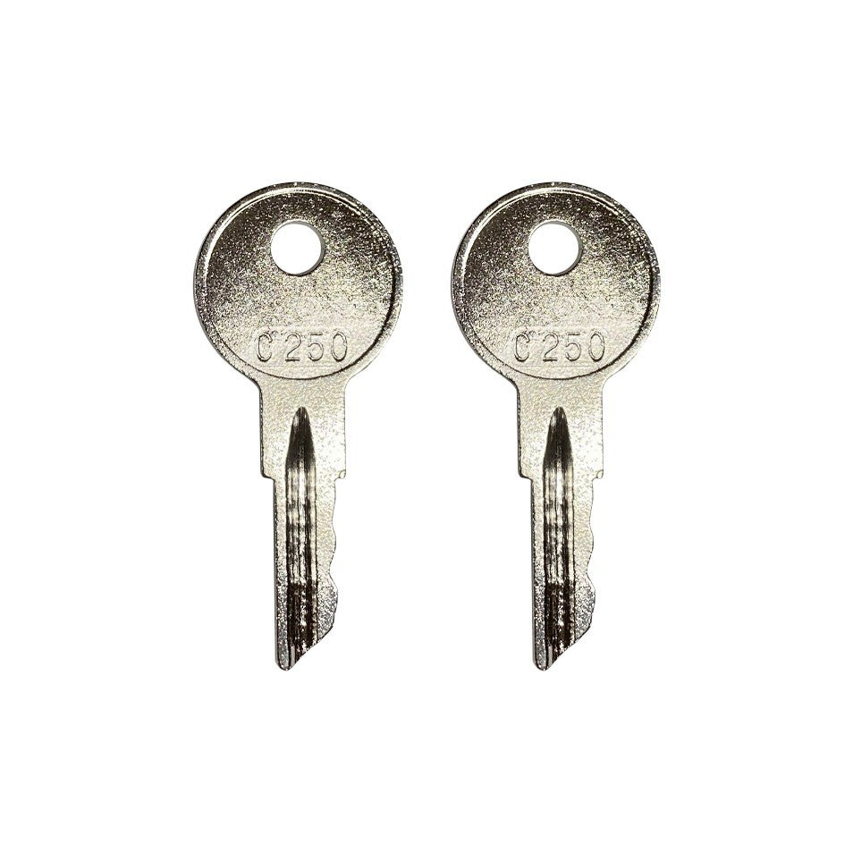 C250 Ignition Key for Crown Forklift Walkie Wave 170151 001 089216 001 2 Piece