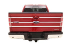 Tailgate Trim Stripe Kit for Ford F150 2009 2010 2011 2012 2013 2014 Many Color Choices