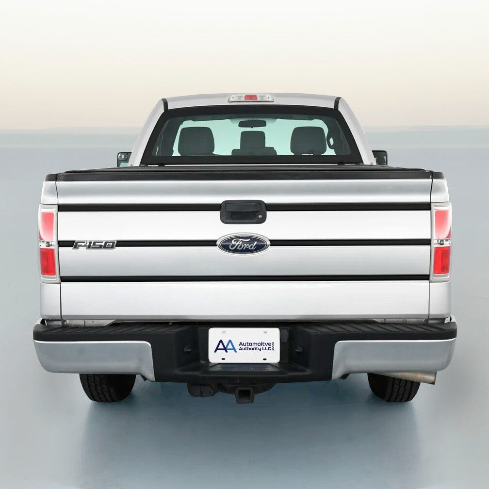 Tailgate Trim Stripe Kit for Ford F150 2009 2010 2011 2012 2013 2014 Many Color Choices
