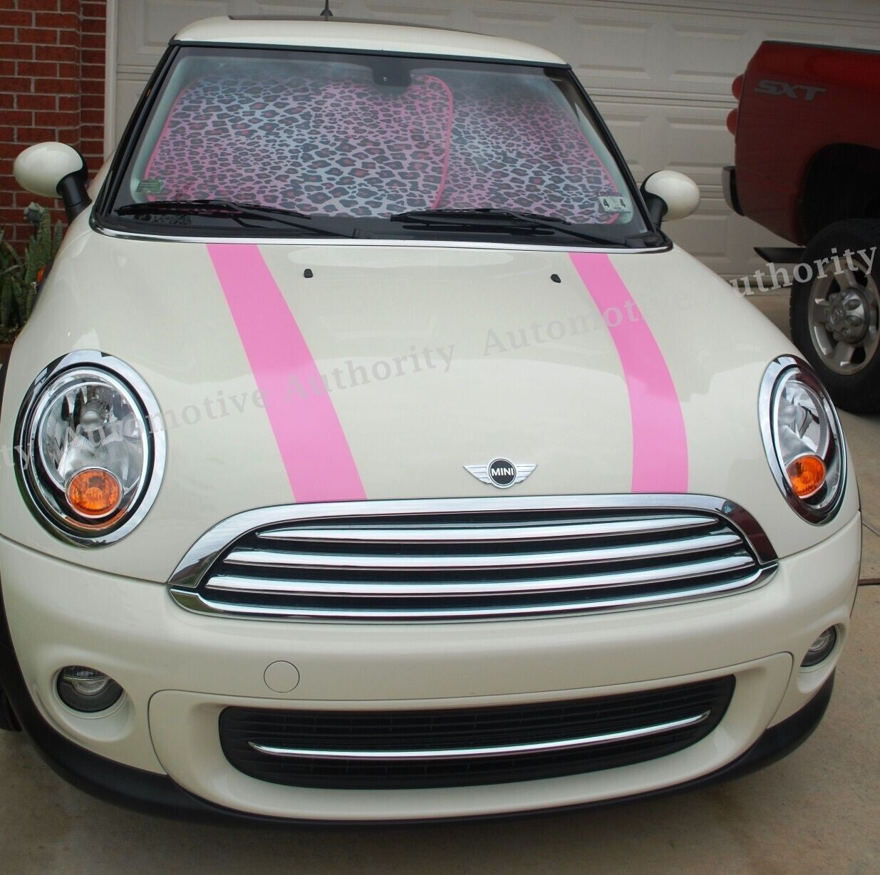 Dual 4 Inch Vinyl Rally Stripes Racing Stripe Bonus Kit for Pink Mini Cooper S