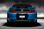 10 Inch Vinyl Rally Stripes Racing Stripe Kit Hood Trunk Roof for Pontiac Vibe