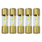 AGU Fuse 80A Gold Glass Inline for Car Auto Audio Stereo Amplifier