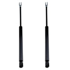 2X Gas Cylinder 6664207 for Bobcat 730 731 732 741 742 743 843 853 863 873 953