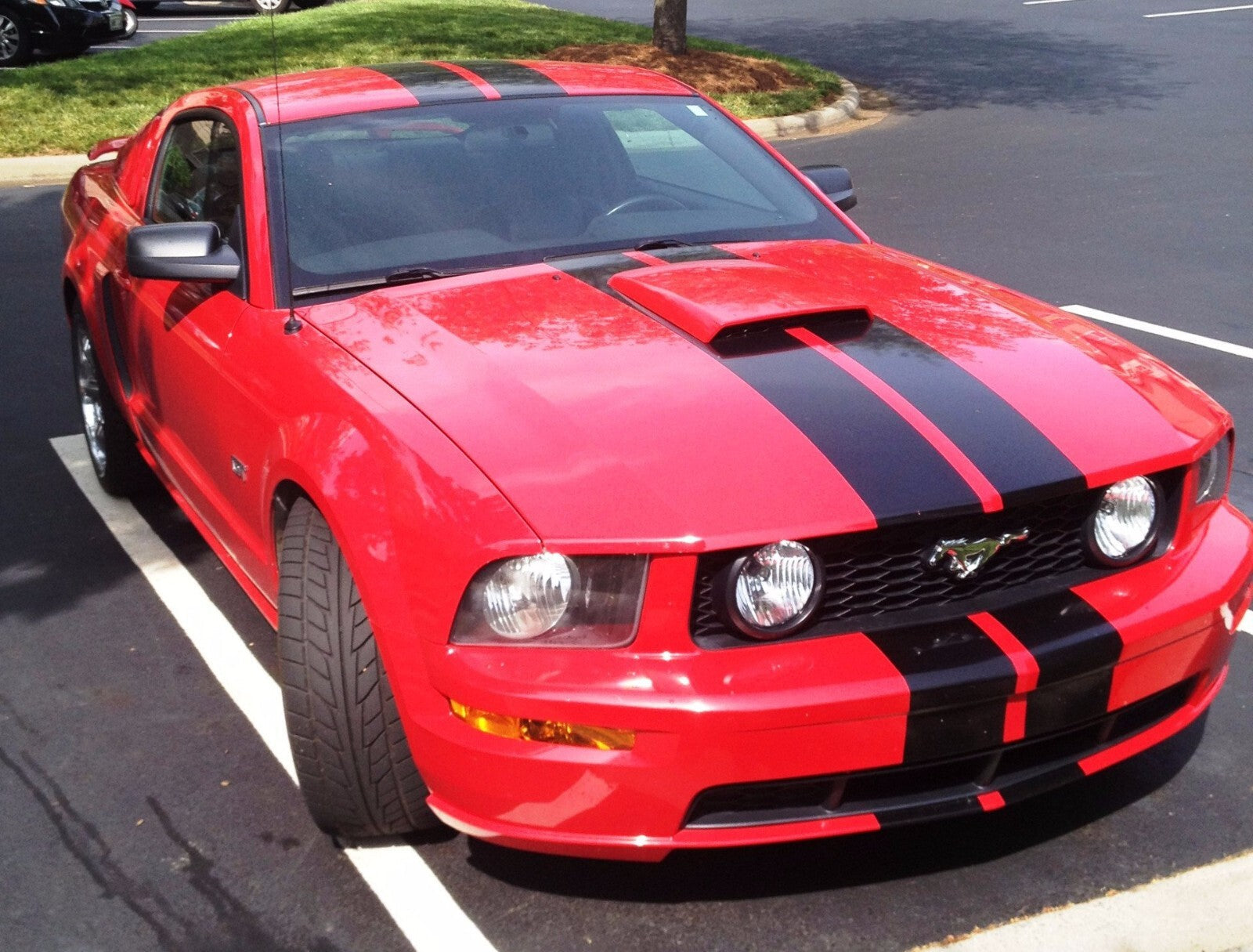 10 Inch Vinyl Rally Stripes Racing Stripe Kit Hood Trunk Roof for Pontiac Vibe