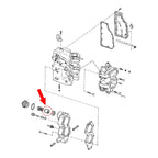 Thermostat And Seat Assembly For Johnson Evinrude Outboard 395919 432759 433379